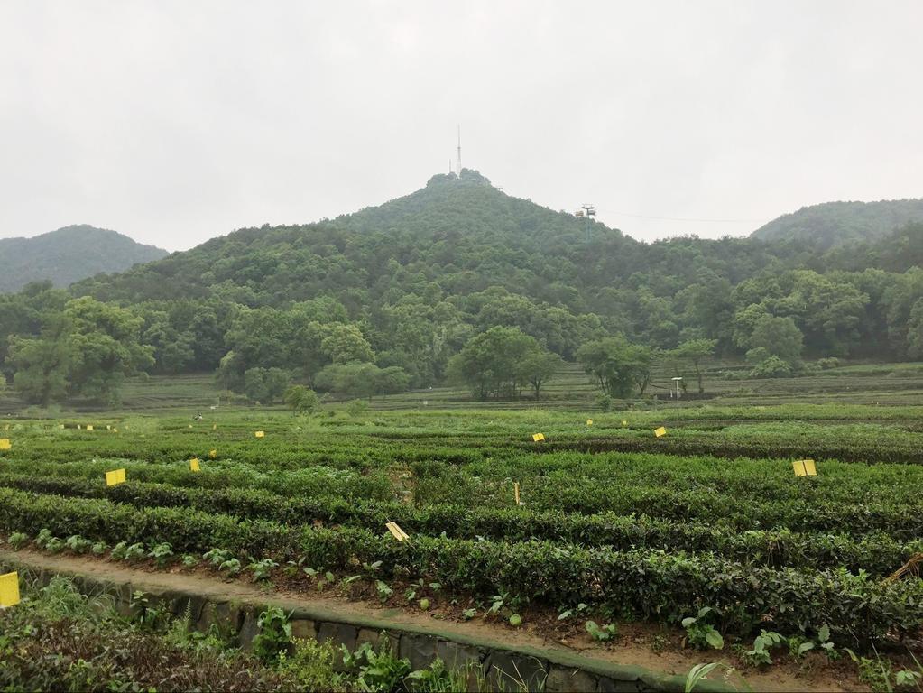 Two Towns Hostel Hangzhou Buitenkant foto